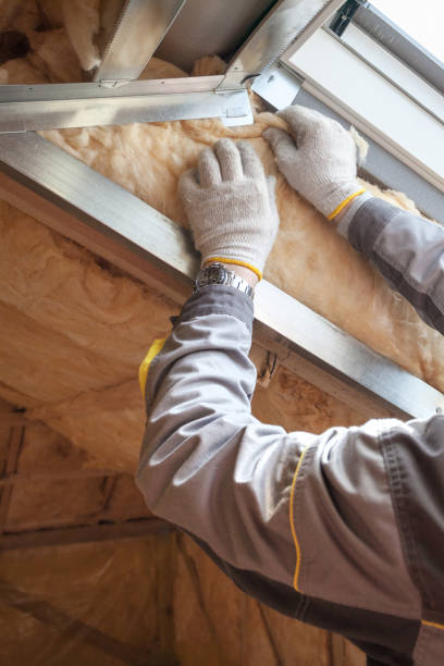 Best Insulation Maintenance and Repair in Ferdand, IN